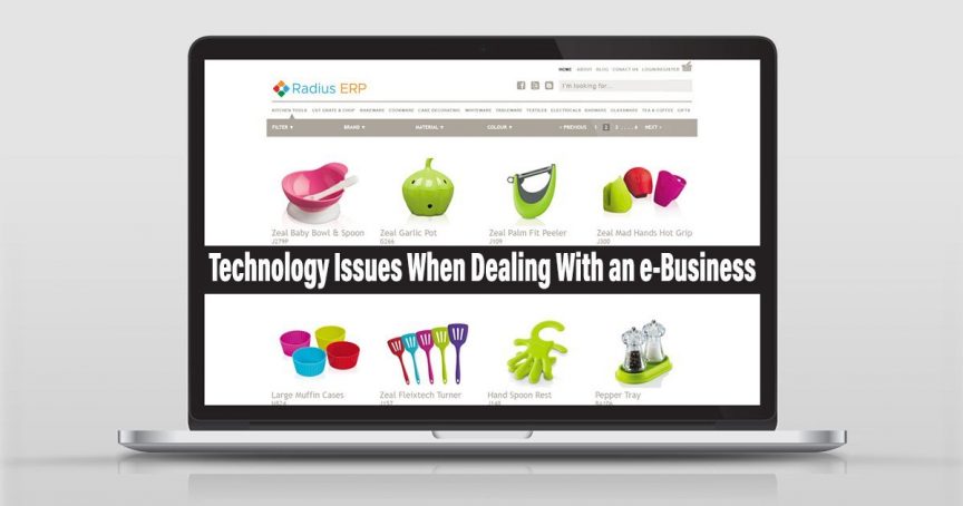 Technology Issues When Dealing With an e-Business