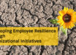 Developing Employee Resilience Through Organizational Initiatives