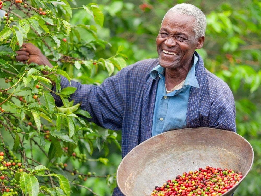 The opportunity for Africa in coffee