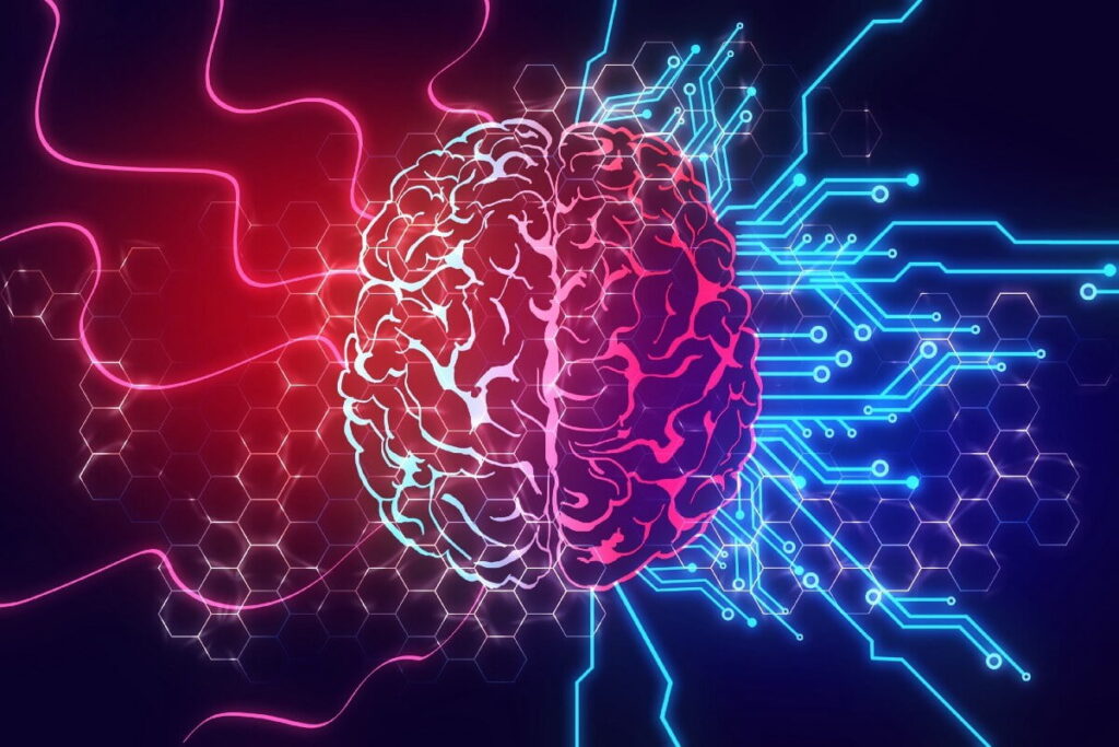 Neural Networks